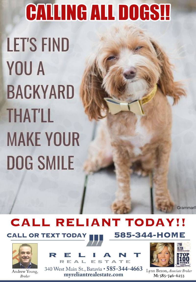 Call All Dogs, Reliant