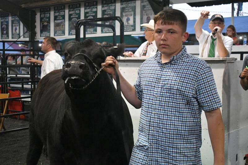 4-h livestock auction genesee county fair