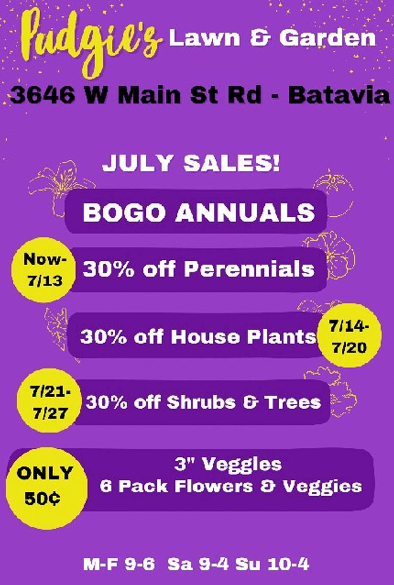 Pudgies, Plant Sale 4