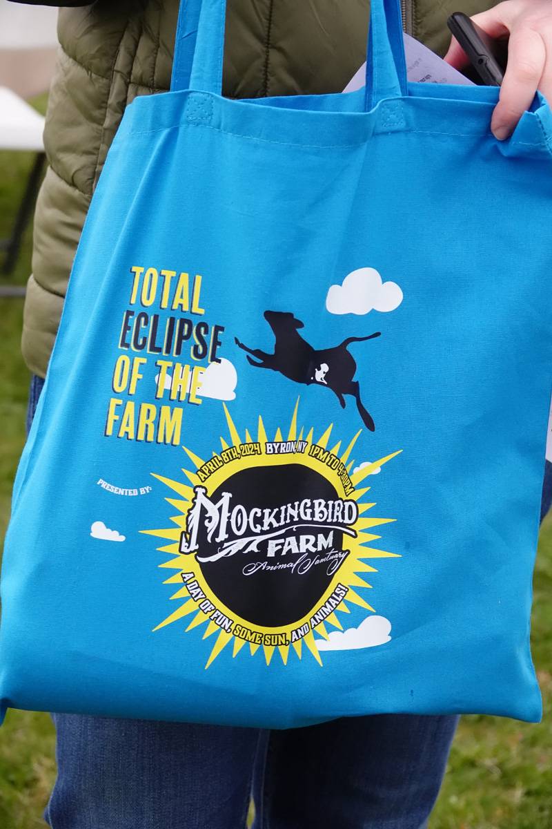 mockingbird farms byron eclipse