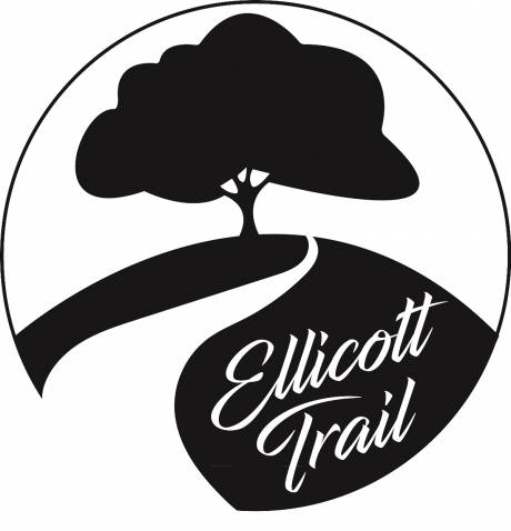 ellicott_trail_5_stephany.jpg