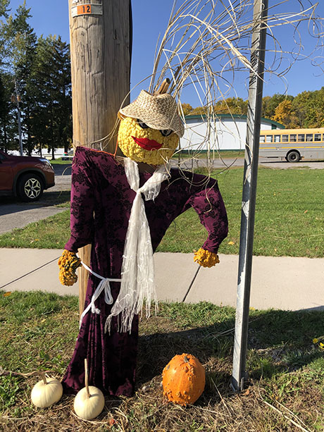 img_4847scarecrows.jpg