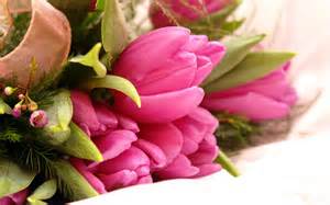 flowers.jpg