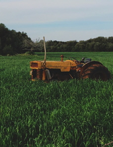 tractor.jpg