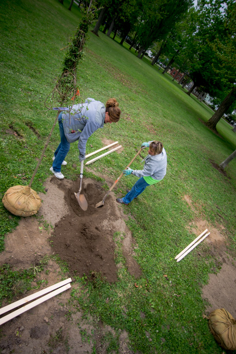 dayofcaring2015-4.jpg