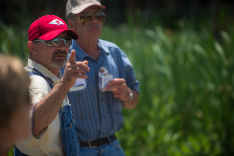 pasturewalkjune262015-2.jpg