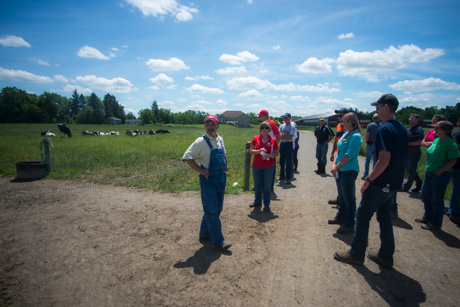 pasturewalkjune262015-3.jpg