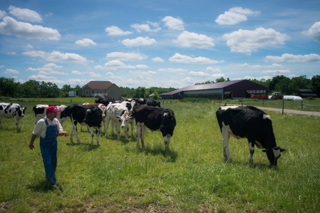 pasturewalkjune262015-4.jpg