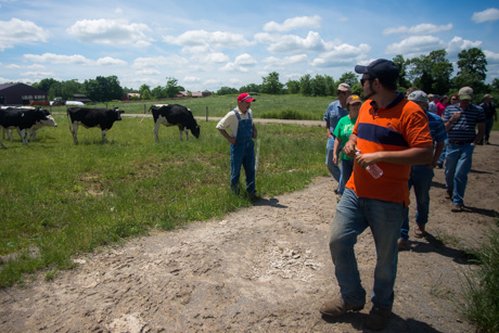 pasturewalkjune262015.jpg
