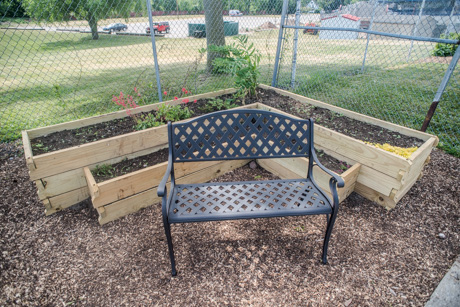 communitygardenjune42016-3.jpg