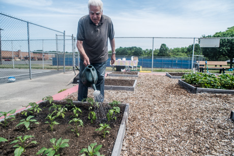 communitygardenjune42016-5.jpg