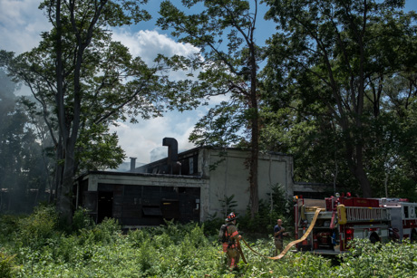 plantfirejuly1320162.jpg