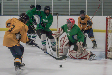 menshockeychampionship2017-5.jpg