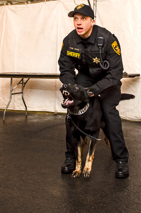corfuwinterfest2014-4.jpg