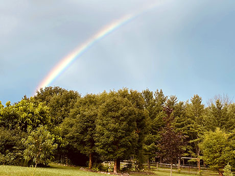 rainbowbergenaug18.jpg
