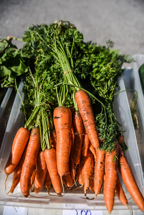 corfufarmersmarket2021-4.jpg