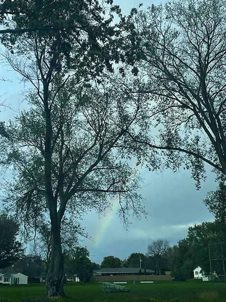 img_1434rainbow.jpg