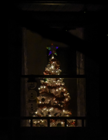christmastrees2021-3.jpg