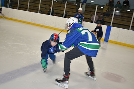 dsc_5832tryhocky.jpg