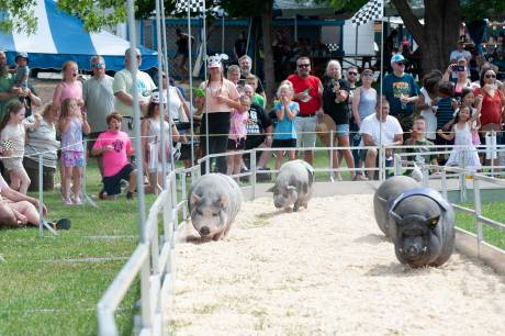 saturdayfair-13_websize_1.jpg