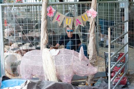 saturdayfair-4_websize.jpg