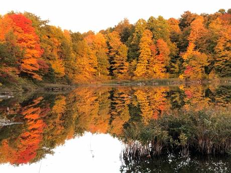 img_2843fall.jpg