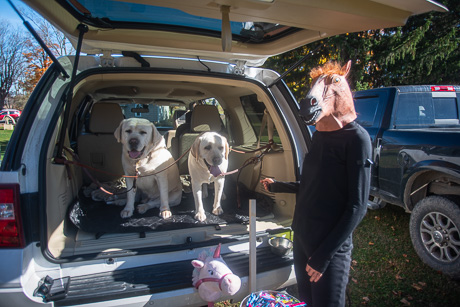 northdarientruckortreat-3.jpg