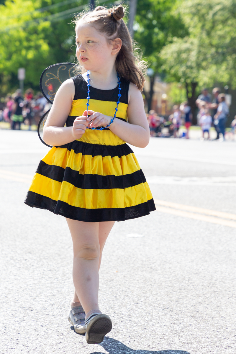 Bumble bee from Stingers softball organization, Batavia Memorial Day Parade