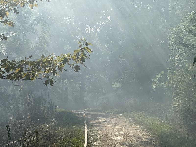 DeWitt brush fire 6/4/23