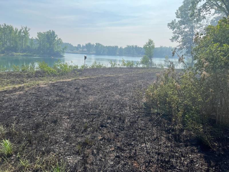 DeWitt brush fire 6/4/23