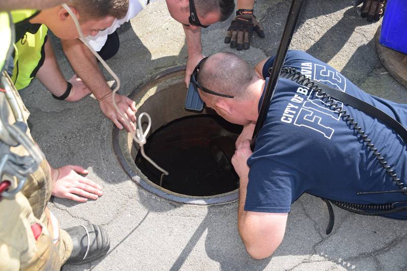 ducklings rescued