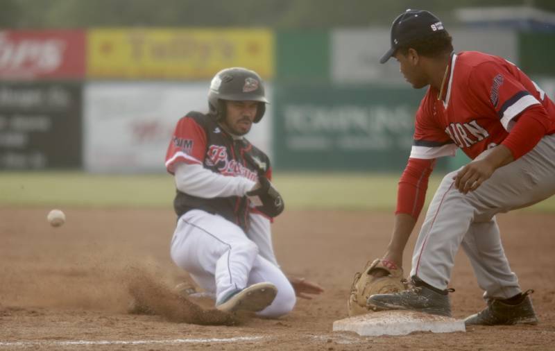 muckdogs