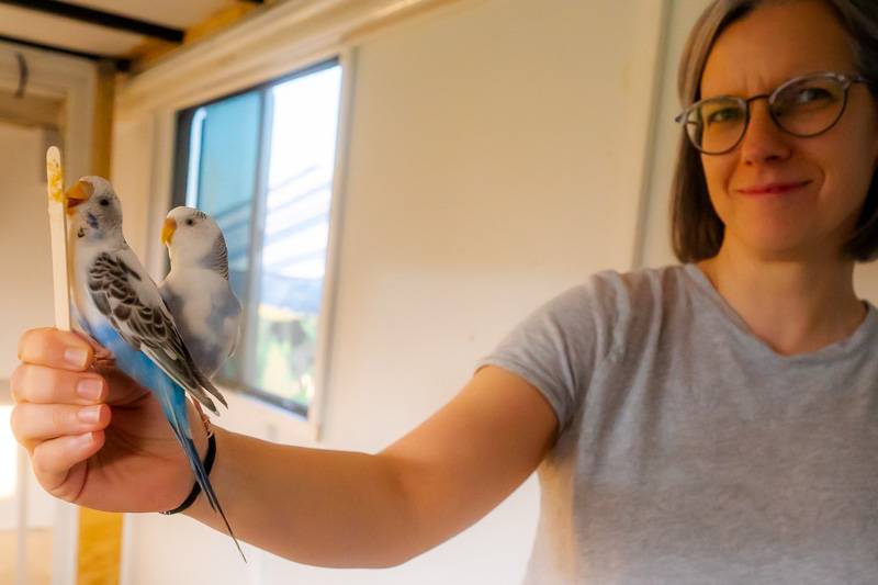 bird at genesee county fair