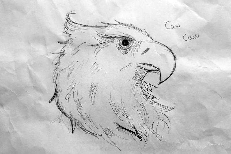 colton smith's eagle drawing