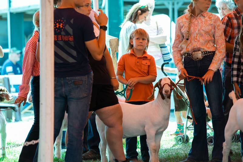 Editor's Note: The Batavian has a booth at the fair in partnership with WBTA as part of the official Genesee County Fair Media Center. Stop by to say hello and enter our eagle-drawing contest in the Exhibition Building. We are an exhibitor and are providing coverage of the fair all week long as a proud supporter of the county fair, 4-H and the dedicated volunteers of the Ag Society. If you appreciate our fair coverage, as well as all of our coverage of Genesee County, you can help us continue news coverag