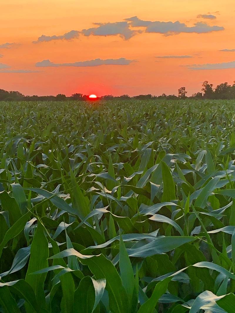 indian  falls sunset