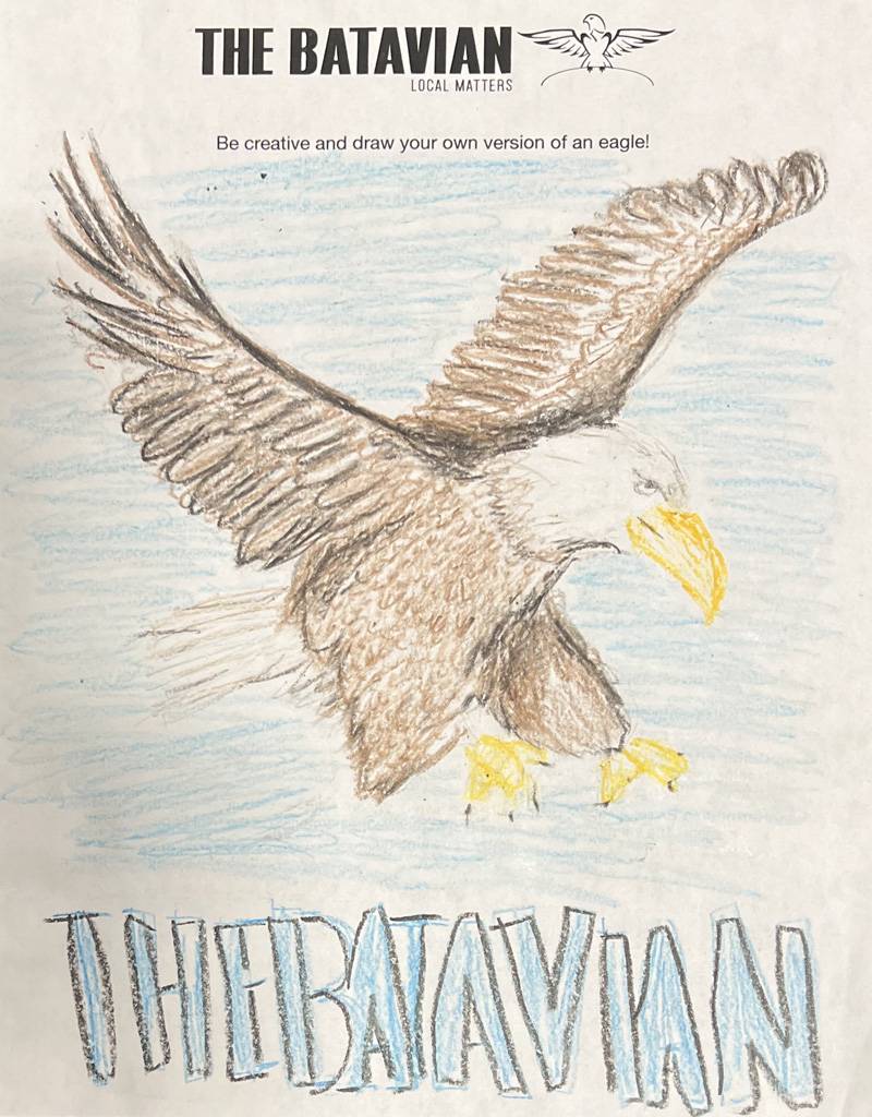 eagle drawing Genesee County Fair