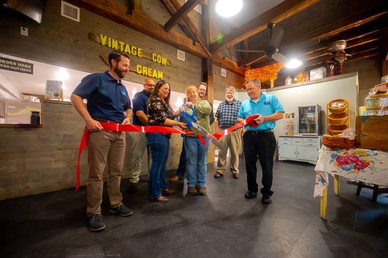 Vintage Cow Ribbon Cutting 2023