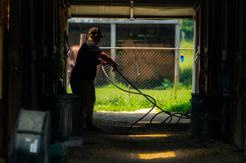 arena-mary-land-horse-rescue