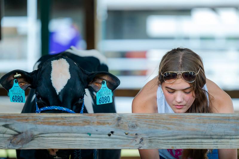 Cow and girl fair 2023