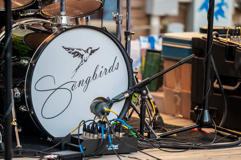 songbirds in jackson square