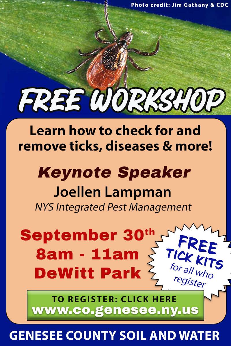 tick workshop