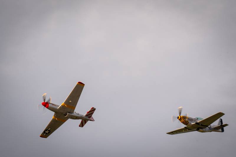 wings over batavia