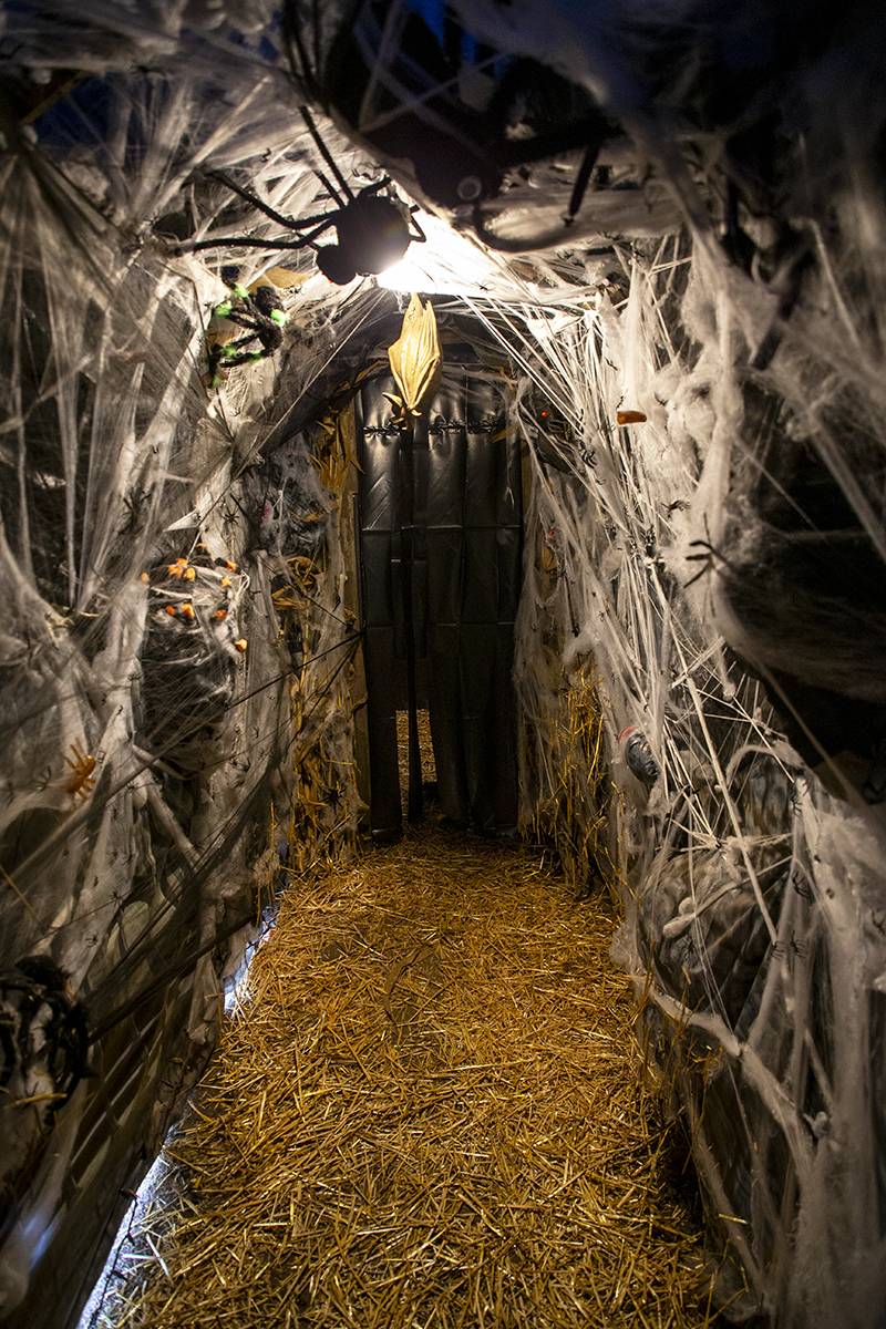 The Spider Room, Nightmare on Bank St.  Photo by Steve Ognibene