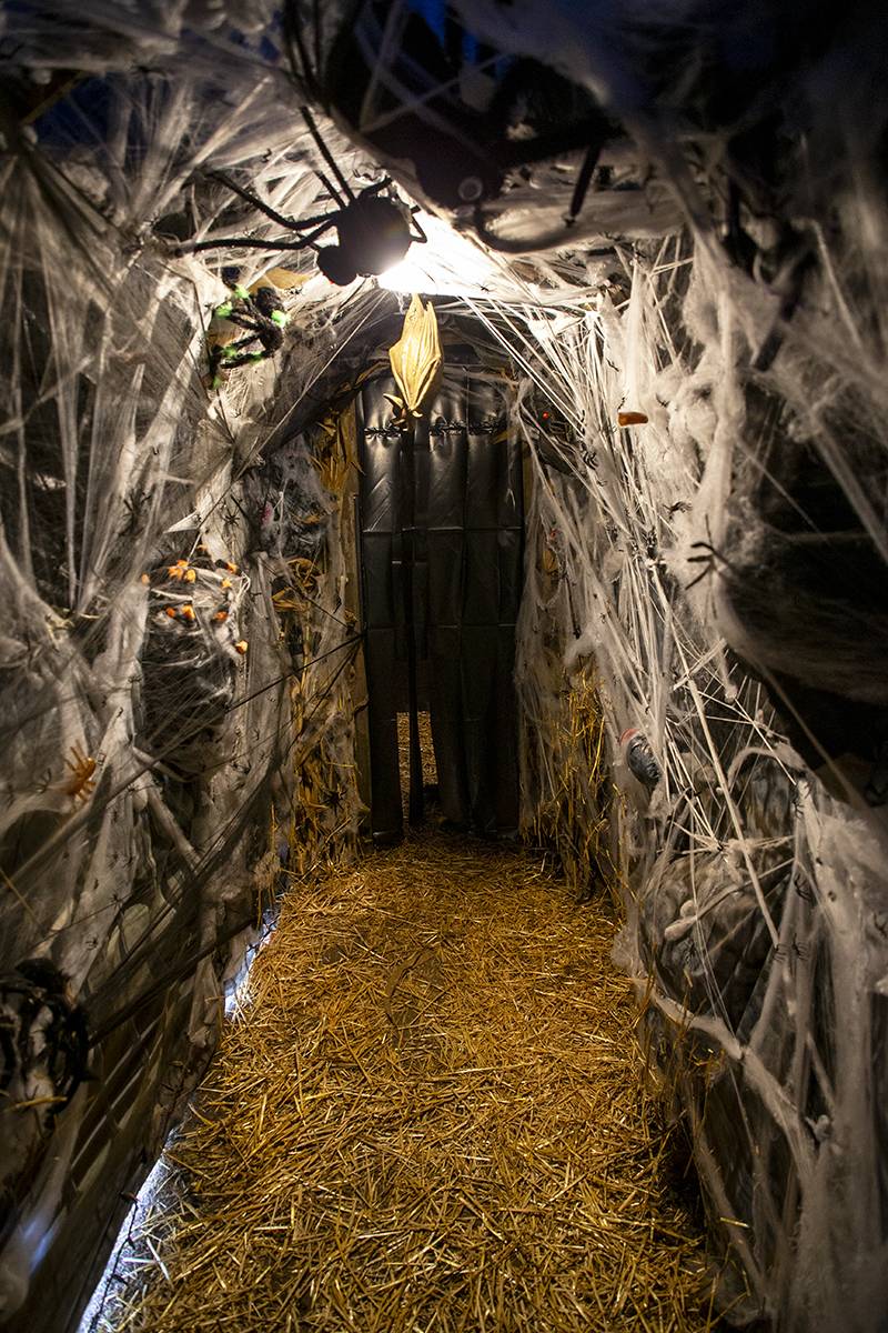 The Spider Room, Nightmare on Bank St. Photo by Steve Ognibene