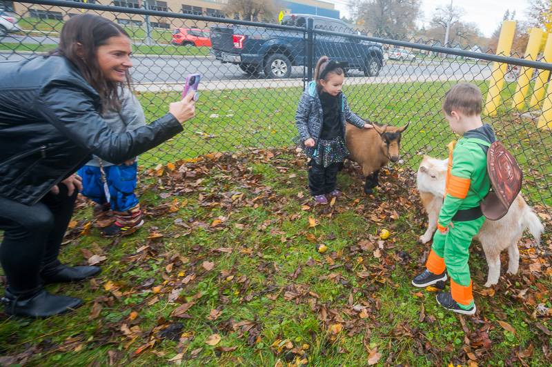 batavia city schools halloween 2023