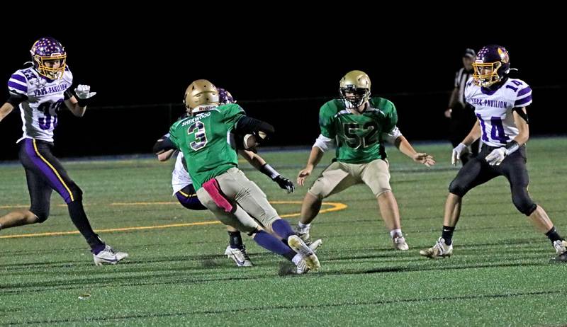 notre dame york/pavilion football