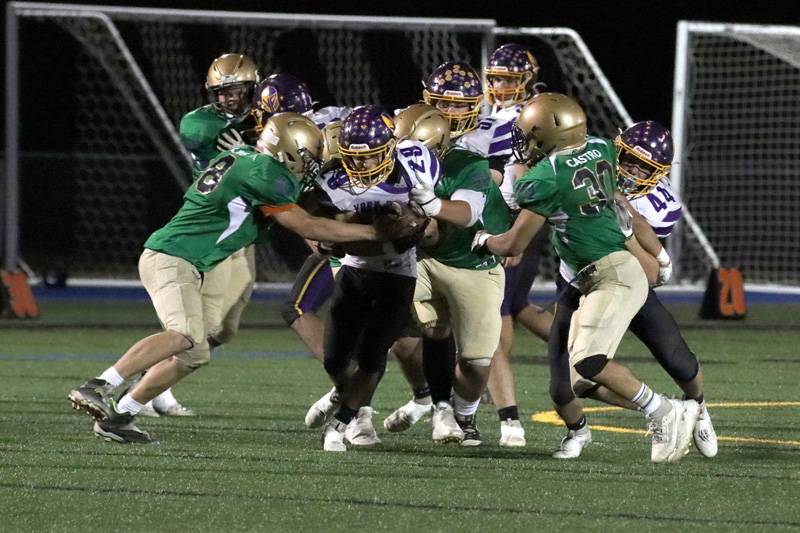 notre dame york/pavilion football