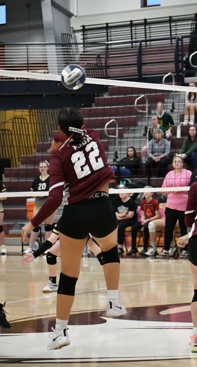 elba volleyball section v champs