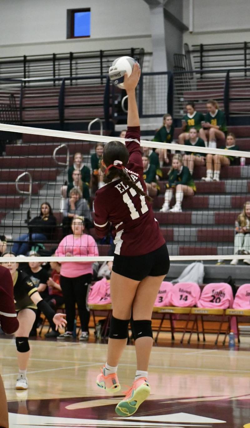 elba volleyball section v champs